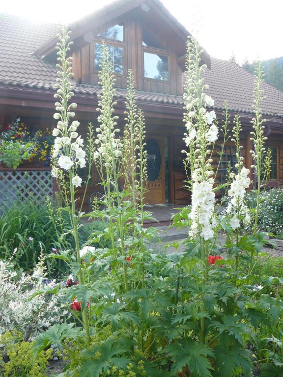Hitching Post Resort Kelowna Pokoj fotografie