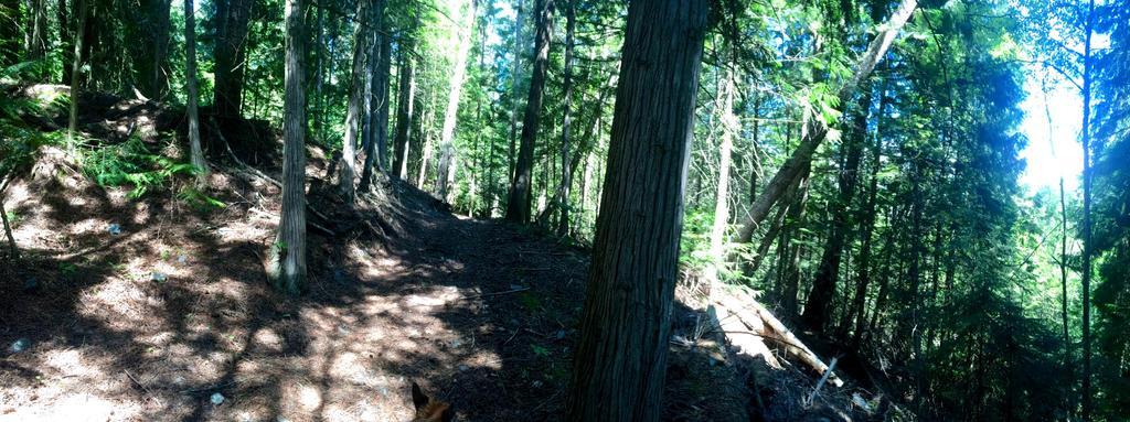 Hitching Post Resort Kelowna Exteriér fotografie